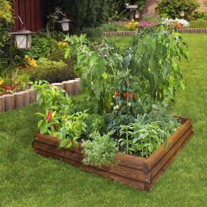 DIY-raised-bed-vegetable-garden-wood-planks-garden-design-ideas